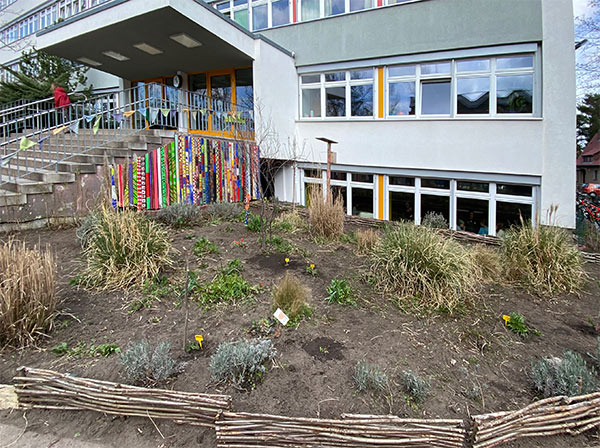 Schulhofgestaltung mit Pflanzen in der KreativitätsGrundschule Treptow