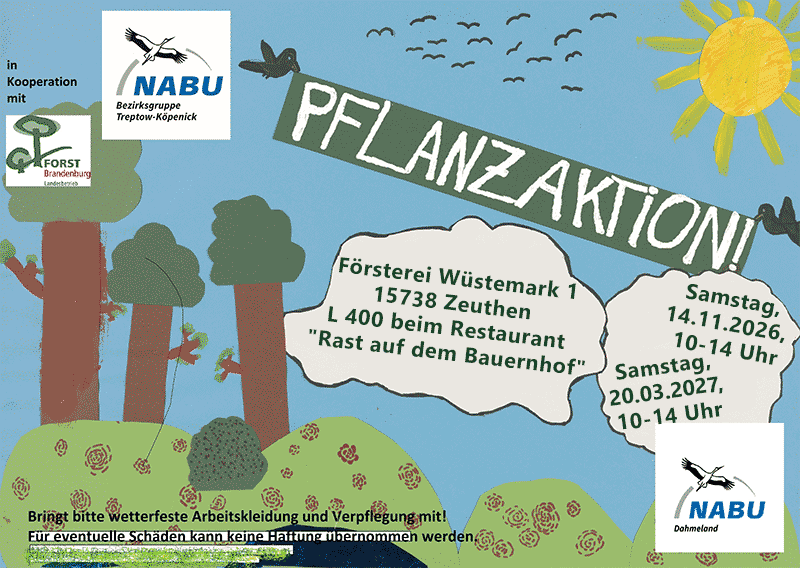 Poster Pflanzaktion im Wald